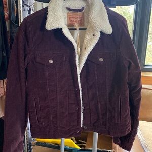 Burgundy corduroy Levi truckers jacket